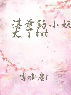 湛爷的小妖精长大了txt