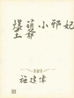 爆萌小邪妃腹黑王爷