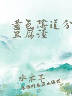 黄色阴道分泌物豆腐渣