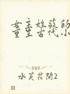 女主姓苏的穿越重生古代小说