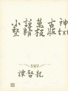 小说万古神帝完整精校版txt
