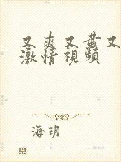 又爽又黄又猛的激情视频