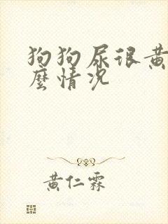 狗狗尿很黄是什么情况