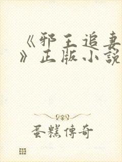 《邪王追妻苏洛》正版小说