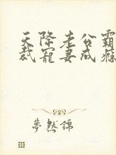 天降老公霸气总裁宠妻成瘾