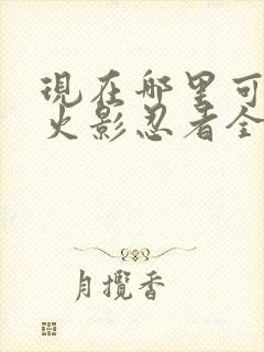 现在哪里可以看火影忍者全集