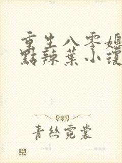 重生八零媳妇有点辣叶小琼