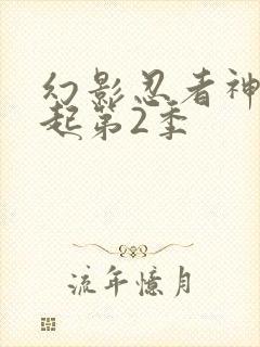 幻影忍者神龙崛起第2季