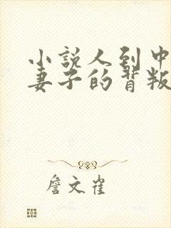 小说人到中年:妻子的背叛免费阅读全文