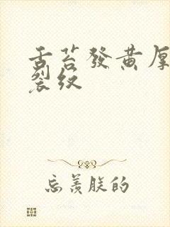 舌苔发黄厚腻有裂纹