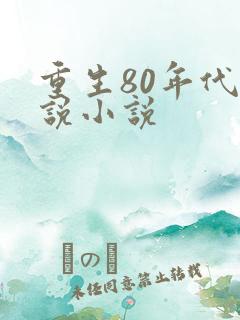 重生80年代小说小说