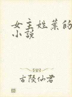 女主姓叶的玄幻小说