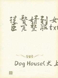 从赘婿到女帝宠臣完整版txt