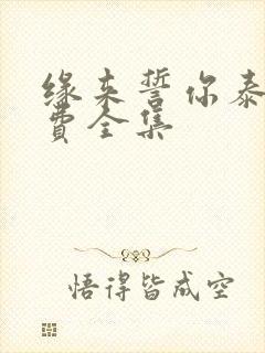 缘来誓你泰剧免费全集