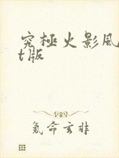 究极火影风暴bt版