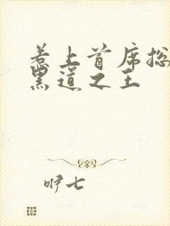 惹上首席总裁 黑道之王