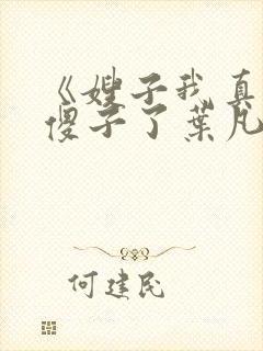 《嫂子我真不是傻子了叶凡》