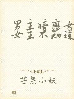 男主暗恋女主,女主不知道的小说