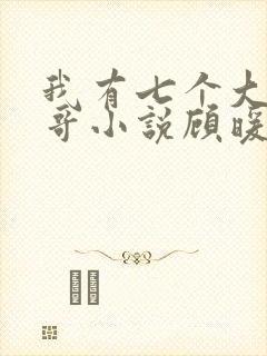 我有七个大佬哥哥小说顾暖暖 小说