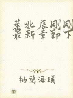 叶北辰刚刚更新最新章节下载