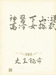 神医下山:退婚高冷女总裁txt下载全本