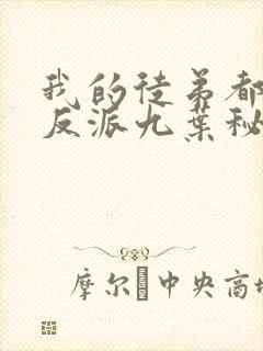 我的徒弟都是大反派九叶秘密