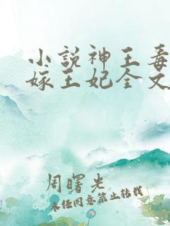 小说神王毒宠二嫁王妃全文