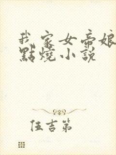 我家女帝娘子有点烧小说