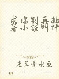 求你别再抽了原著小说叫什么