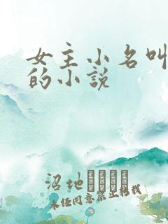 女主小名叫蛮蛮的小说
