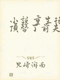 小说 重生后我顶替了前夫白月光