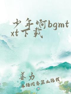 少年啊bgmtxt下载