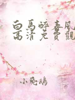 白马醉春风在线高清免费观看全集