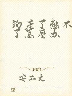 狗老了憋不住尿了怎么办