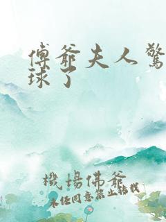 傅爷夫人惊艳全球了