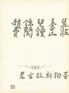 赵锦儿秦慕修免费阅读正版