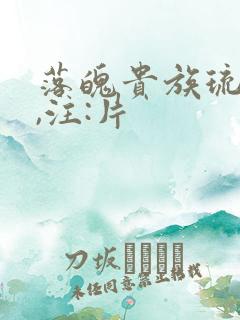 落魄贵族琉璃川,注:片