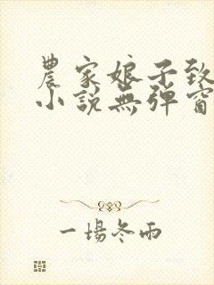 农家娘子致富记小说无弹窗