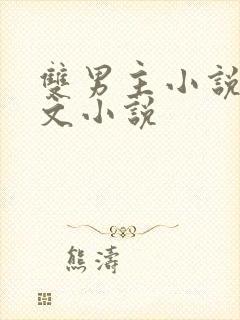 双男主小说高干文小说