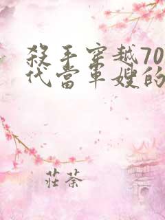 杀手穿越70年代当军嫂的小说