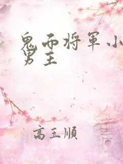 鬼面将军小说双男主