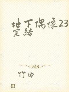 地下偶像23集完结