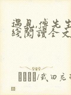 遇见,傅先生在线阅读全文