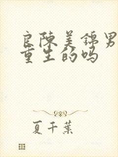 良陈美锦男主是重生的吗