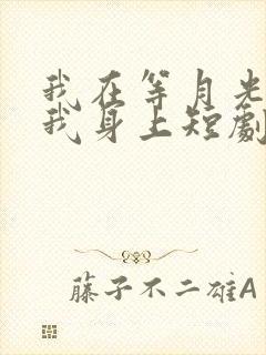 我在等月光落在我身上短剧免费观看