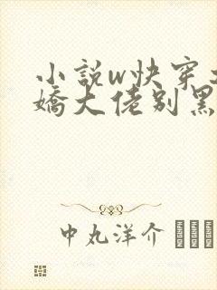 小说w快穿之病娇大佬别黑化》