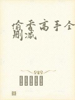 偷香高手全文无删减