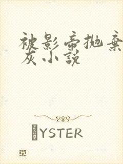 被影帝抛弃的炮灰小说