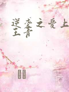 逆袭之爱上情敌王青