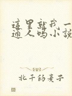 这里就我一个普通人吗小说免费阅读